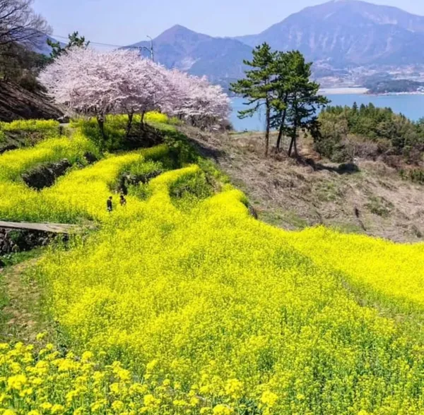 오시오캠프 사진 2