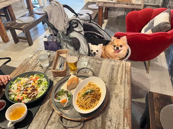 Kobe harbor kitchen Haji／コウベハーバーキッチン ハジの写真5