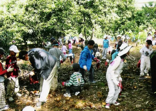 공주 추천 11탄 8곳