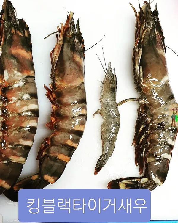 カラクモルウンハスサンの写真5