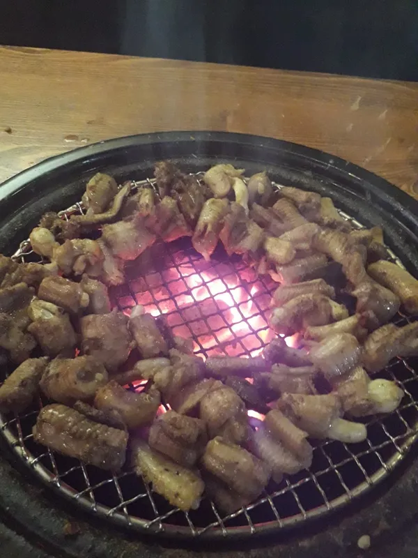 기장새벽산꼼장어 사진 3