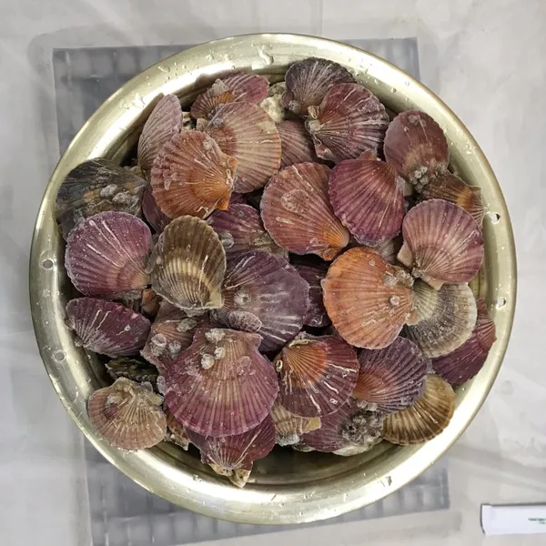 チョンブックルダンジ カボセグルスサンの写真5