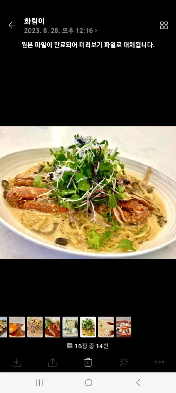 カフェ グアナの写真5